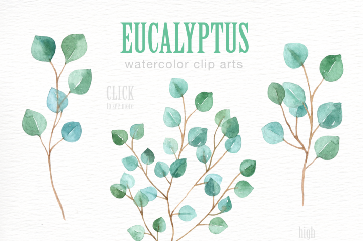 720x479 Eucalyptus Leaf Watercolor Clipart By Everysunsun