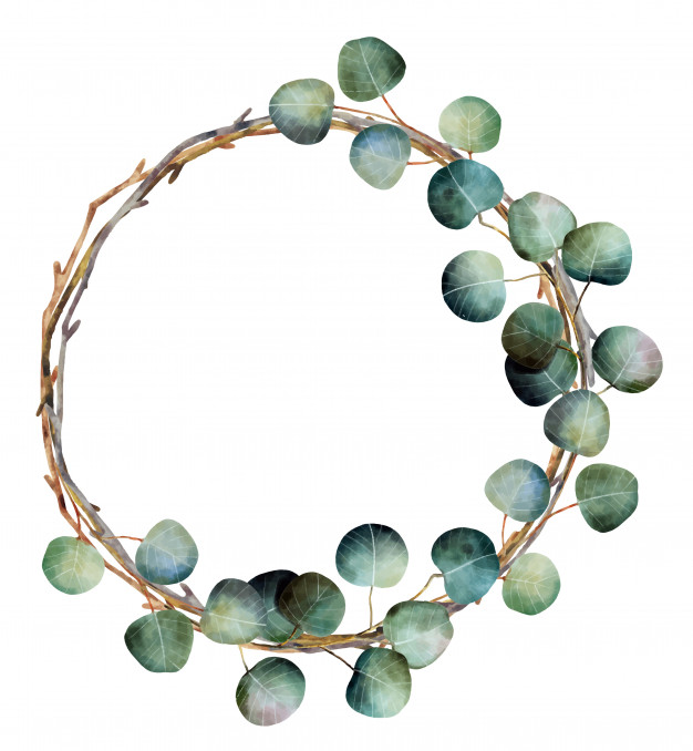 626x678 Watercolor Christmas Wreath With Eucalyptus Branches Vector