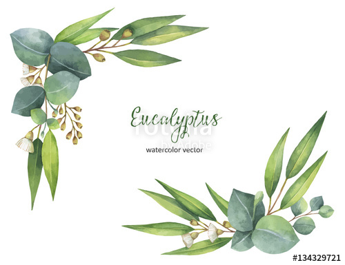500x385 Watercolor Vector Wreath With Green Eucalyptus Leaves And Branches