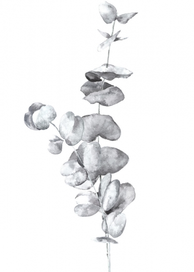 393x550 White Eucalyptus In Watercolor