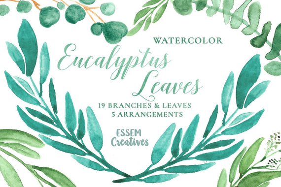 570x380 Eucalyptus Watercolor Leaves Clipart Leaf Wreath Green Etsy