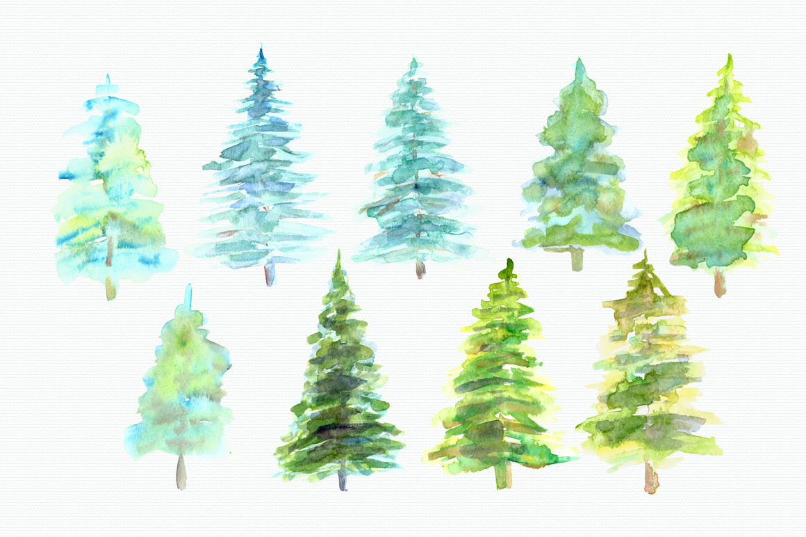 1160x772 Watercolor Pine Trees Clip Art