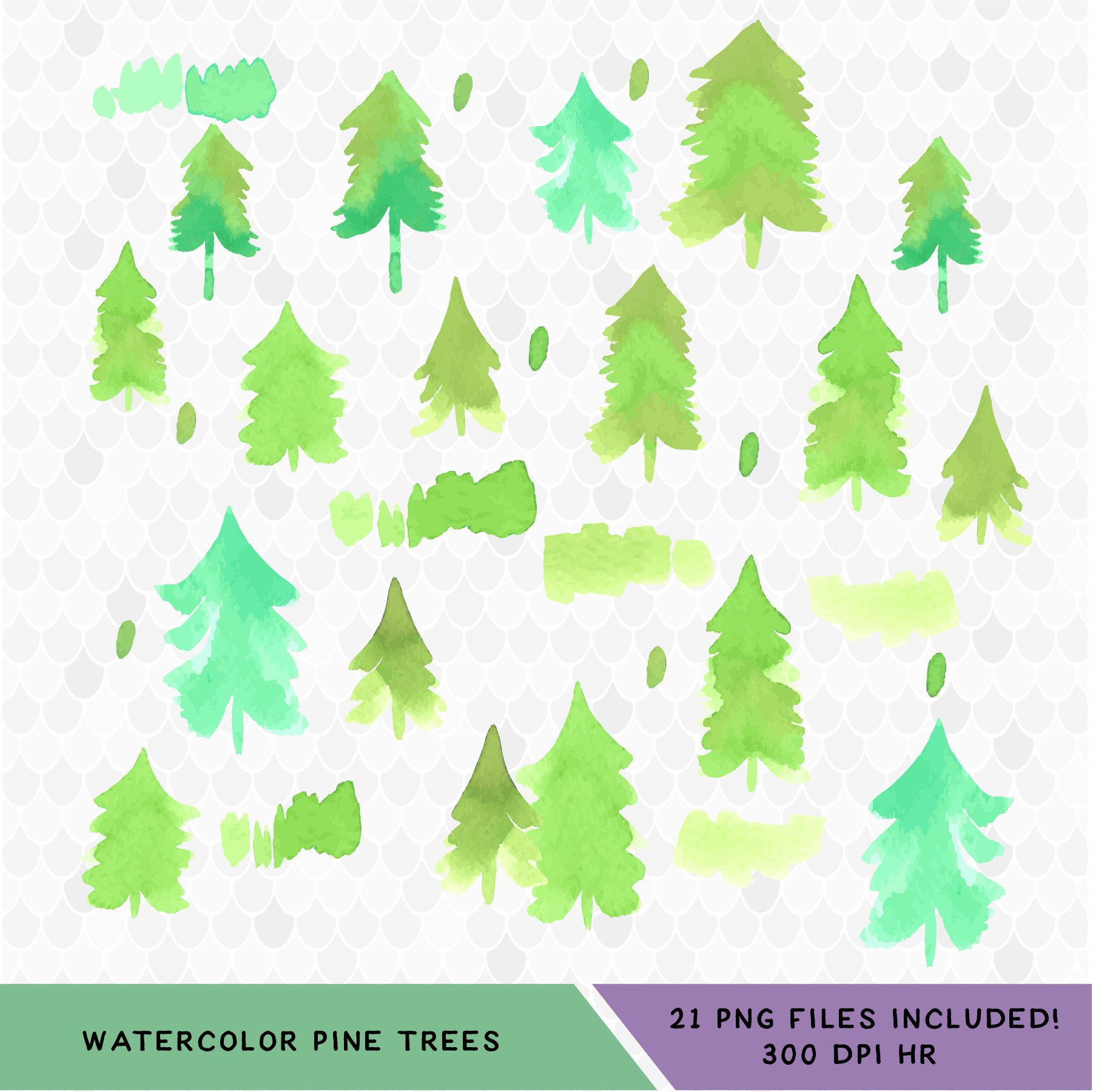 The best free Evergreen watercolor images. Download from 39 free ...