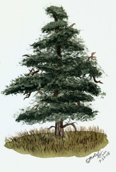 453x671 Watercolor Tree Test V By Eclipsis