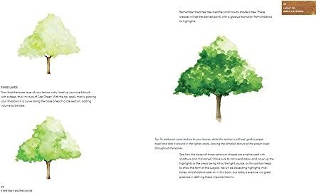 444x271 Everyday Watercolor Learn To Paint Watercolor In 30 Days Price In