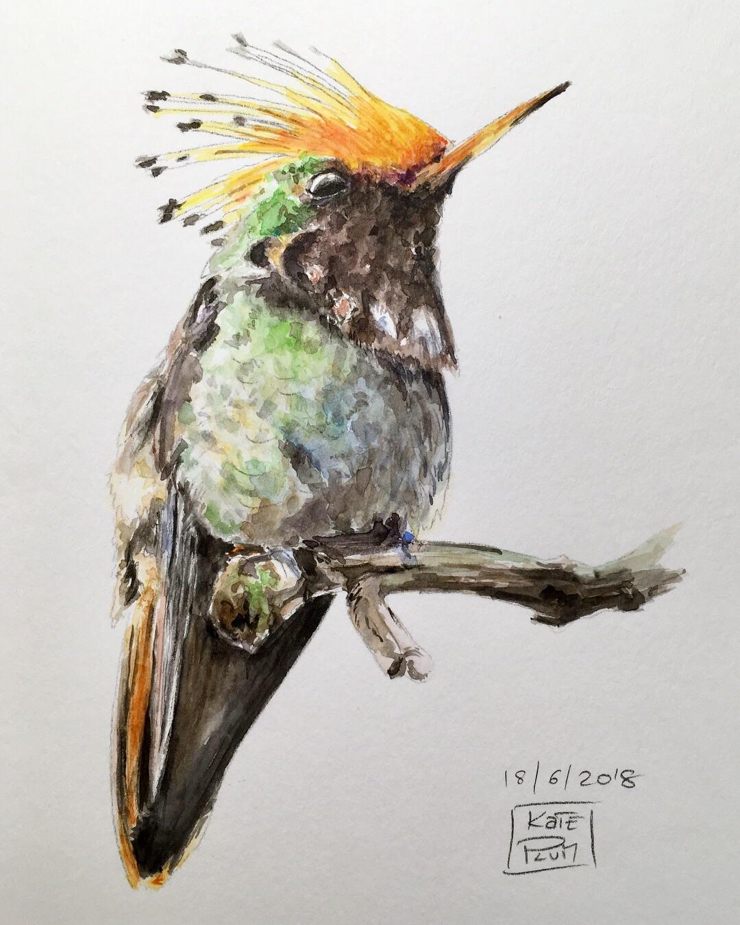 1080x1350 Everyday Watercolor Sketch (Watercolor, Sketchbook