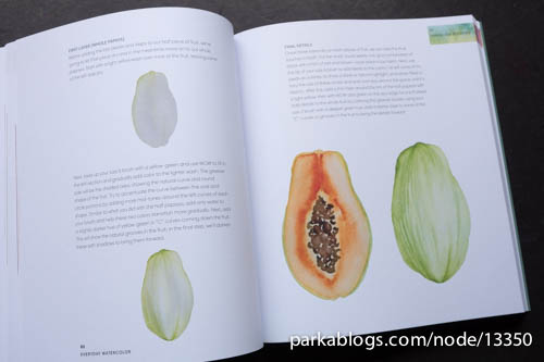 500x333 Book Review Everyday Watercolor Learn To Paint Watercolor In 30