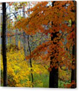 163x186 Fall Colors Watercolor Digital Art By Teresa Mucha