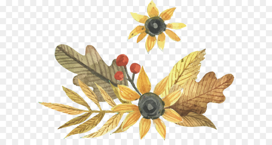 900x480 Adobe Illustrator