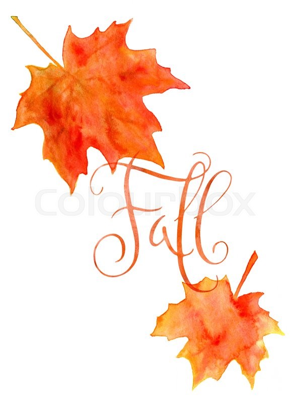 590x800 Orange Watercolor Autumn Maple Leaves And Handwritten Word Fall