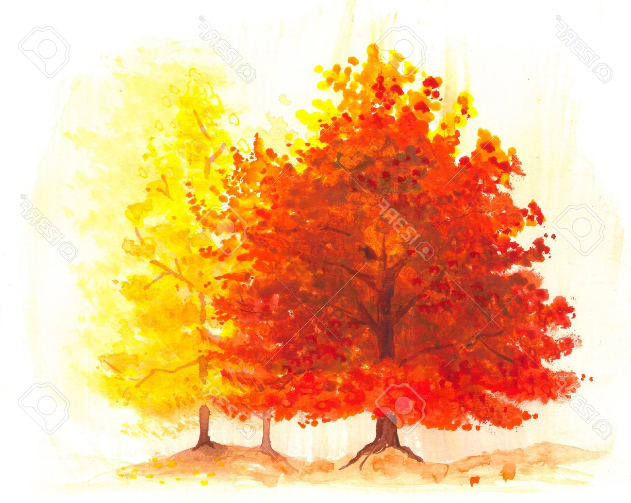 1300x1036 Painting Autumn Trees In Watercolour Autumn Tree Watercolor