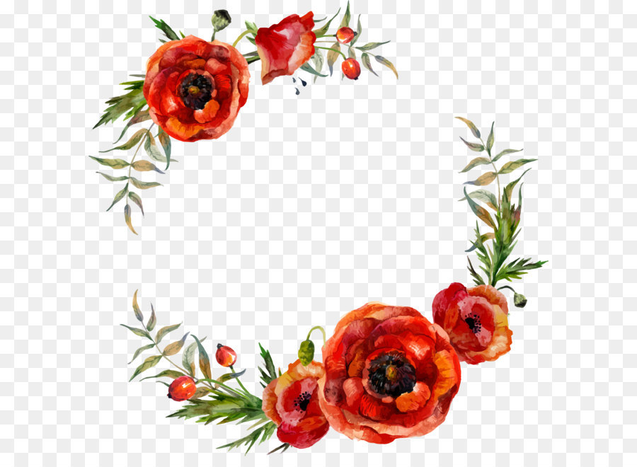 900x660 Poppy Flowers Illustration