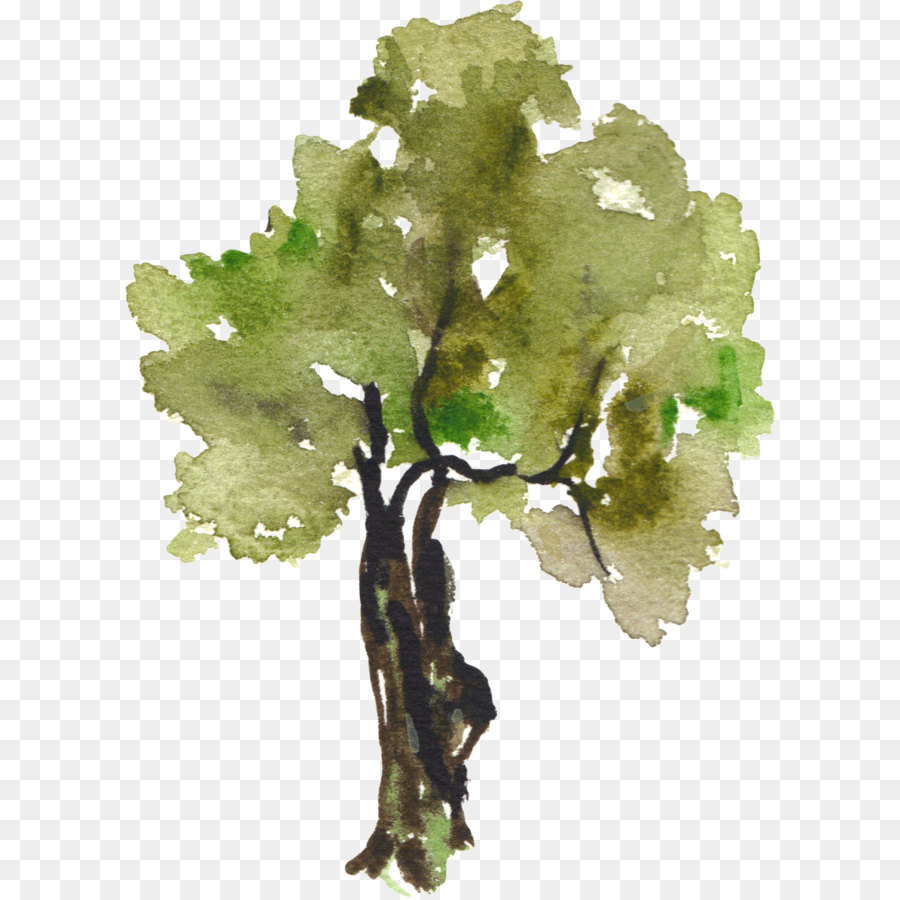 900x900 Tree Watercolor Painting Clip Art