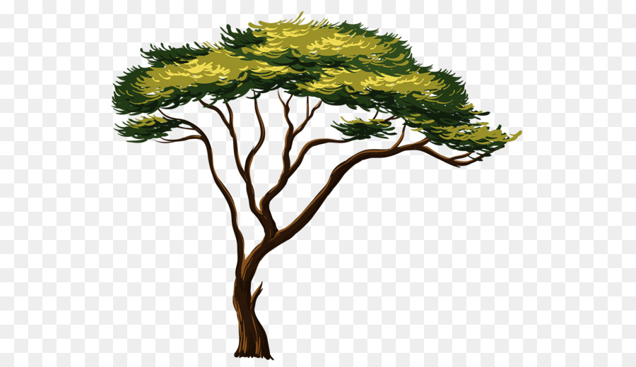900x520 African Trees Clip Art