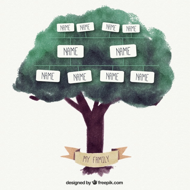 626x626 Watercolor Family Tree With Text Boxes Vector Free Download