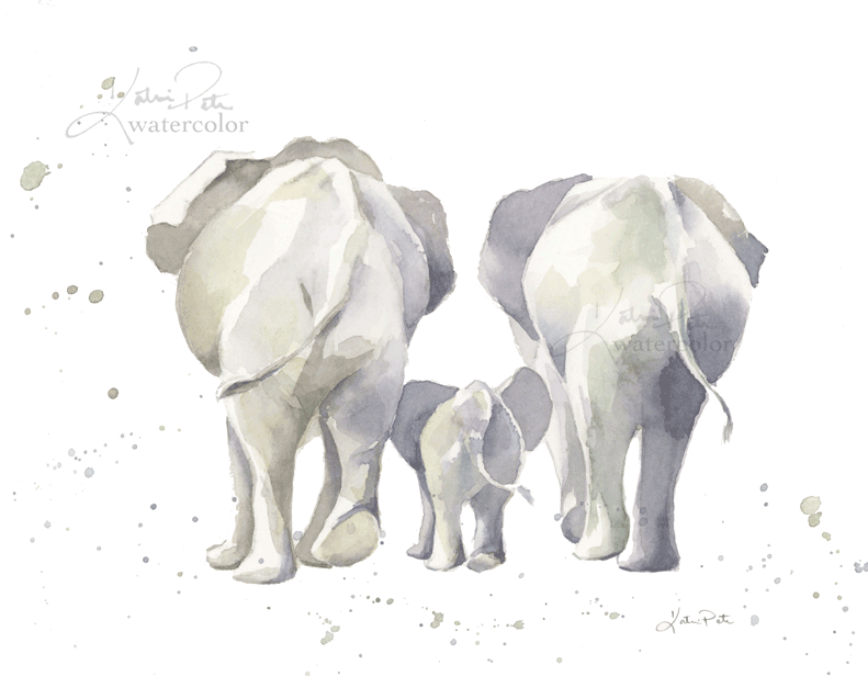 791x627 Katrina Pete