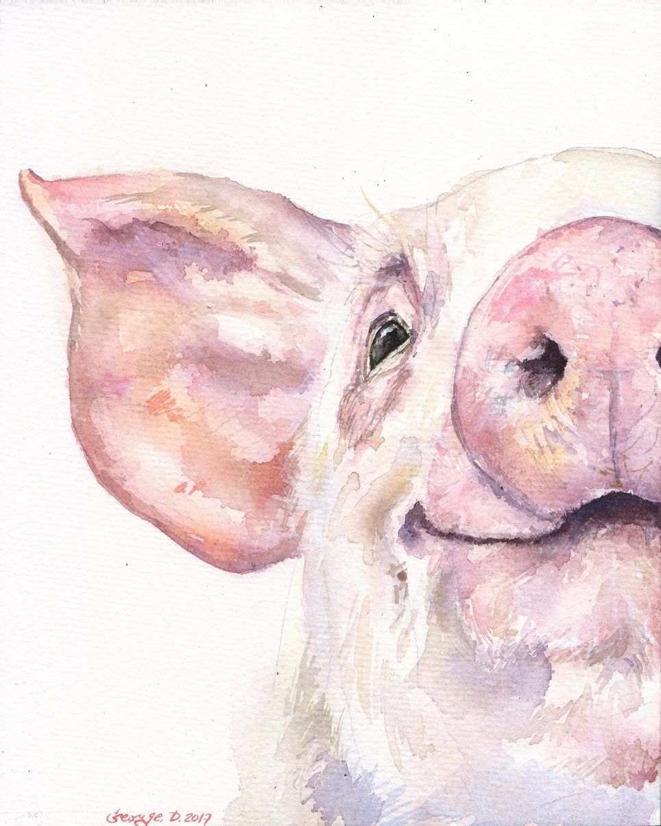 964x1204 Happy Pig Portrait Print Of The Original Watercolor Love Painting