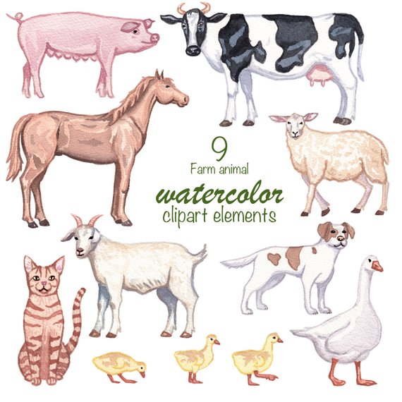 570x570 Watercolor Clipart Farm Animals Clipart Set Watercolor Etsy