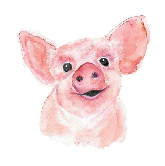 530x532 Watercolor Pig, Watercolor, Farm Animal, Watercolor Art Print