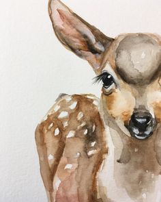 Fawn Watercolor