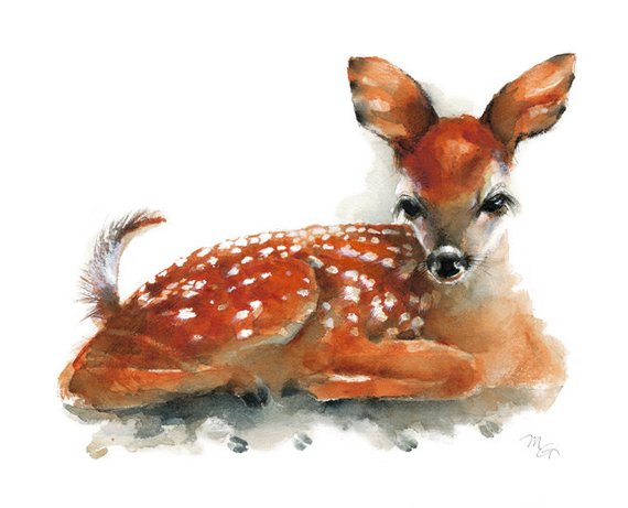 570x461 Deer Fawn Giclee Print Of Watercolor Painting. Art Print. Etsy