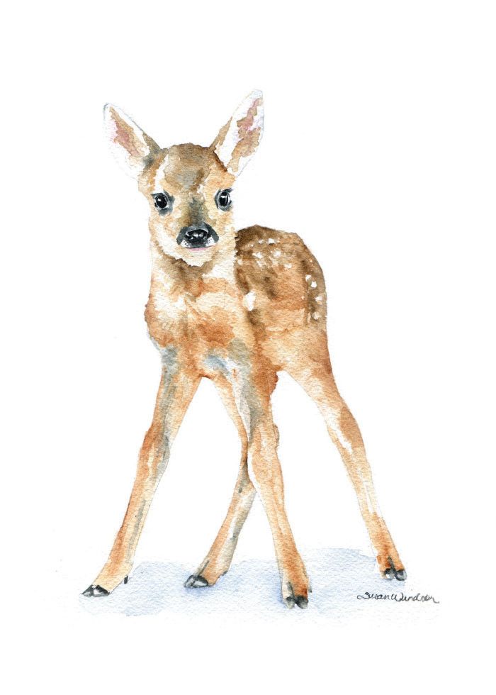 700x980 Deer Fawn Watercolor 1 Susan Windsor Watercolors