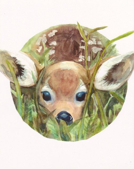 570x722 Fawn In High Grass Print Deer Watercolor Nature Cute Etsy