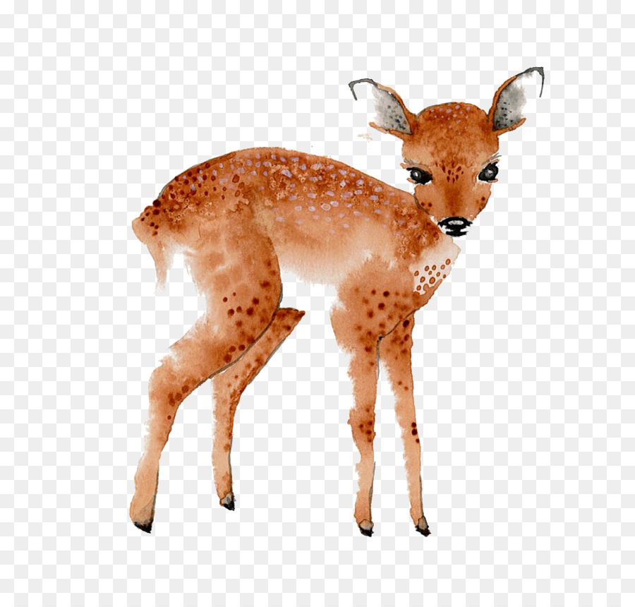 900x860 Textile Printing Watercolor Painting Cotton