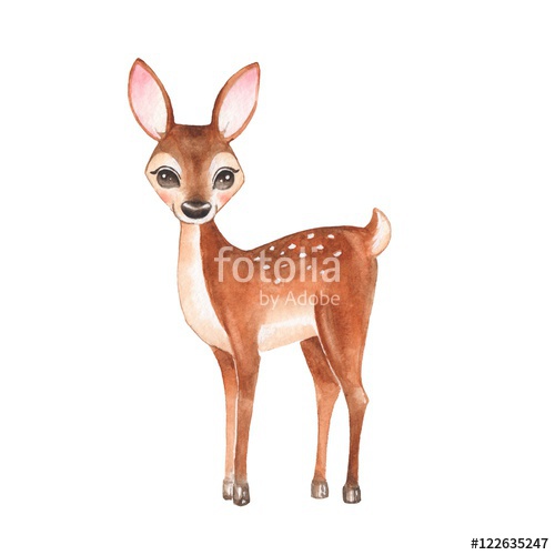 500x500 Baby Deer. Hand Drawn Cute Deer. Cartoon Illustration, Isolated On
