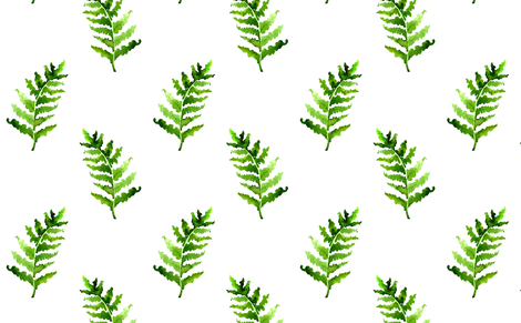470x291 Fern In Watercolor On The White Wallpaper