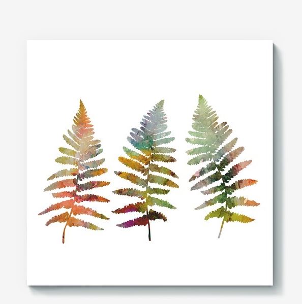 594x599 Fern Leaves Illustration In Watercolor Design Bundles