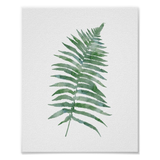 540x540 Botanical Fern Leaf Green Watercolor Nature Plant Poster