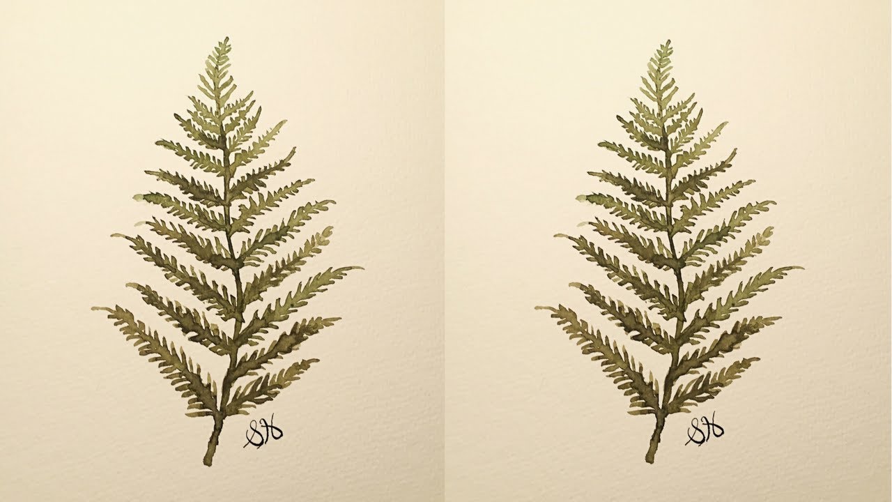1280x720 Time Lapse Painting Fern Botanical Illustration Watercolor