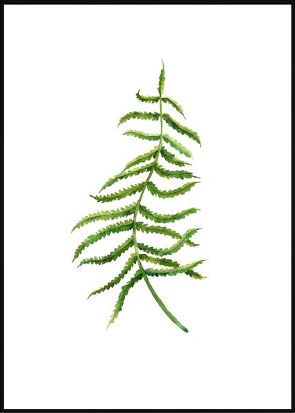 429x600 Watercolor Fern Leaf