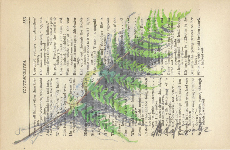 800x522 Botanical Fern Watercolor Printed On Antique Book Page