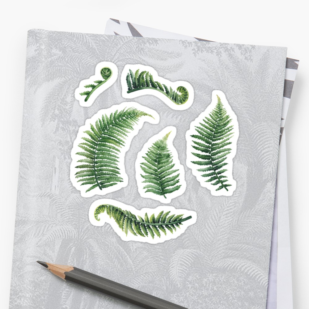 1000x1000 Watercolor Fern Leaves Stickers By Ekaterina Glazkova Redbubble