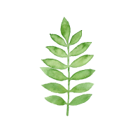 190x190 Watercolor Green Fern By Spreadshirt