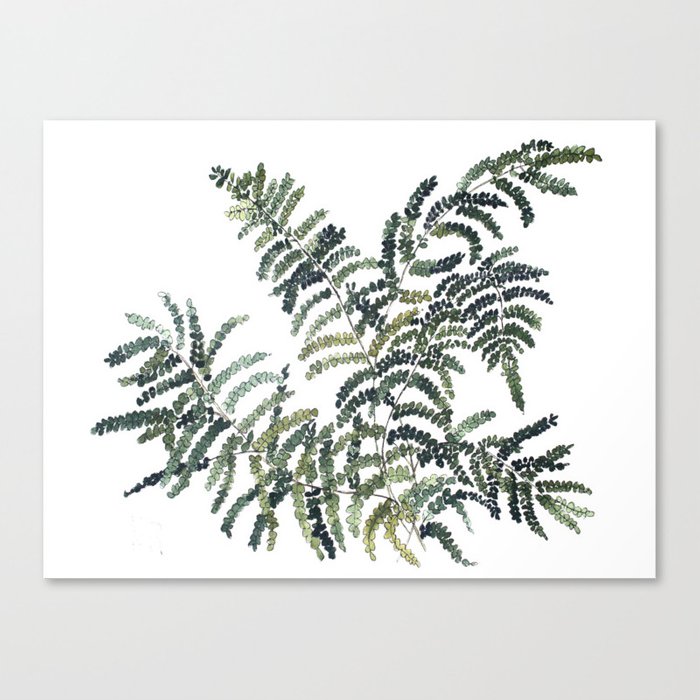 700x700 Woodland Fern Botanical Watercolor Illustration Painting Canvas