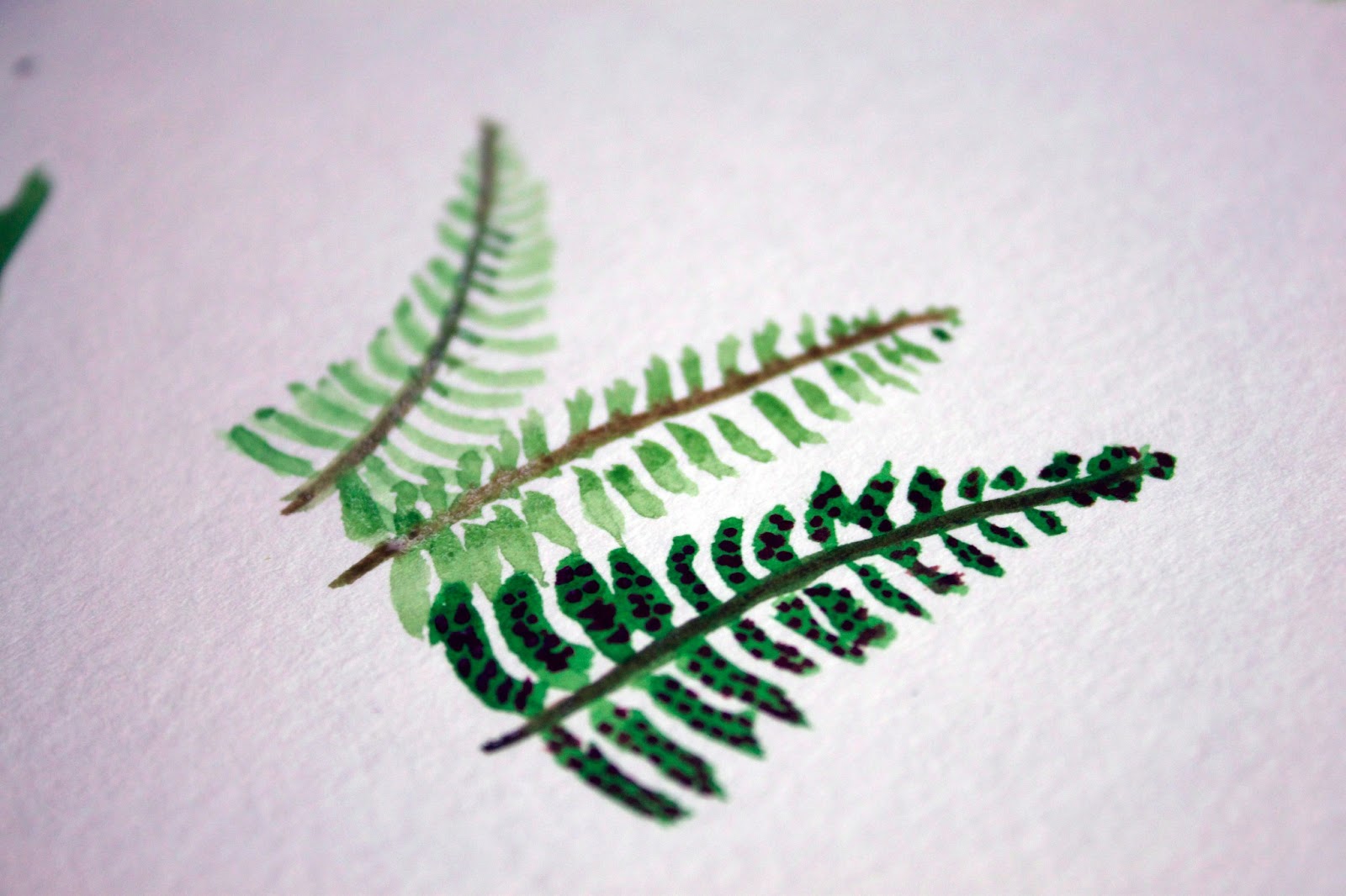 1600x1066 On My Honor... Diy Fern Watercolor