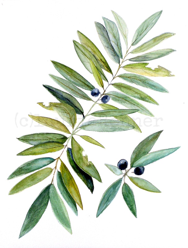 606x800 Botanical Woodland Fern Leaves Blue Berries Botanical Watercolor