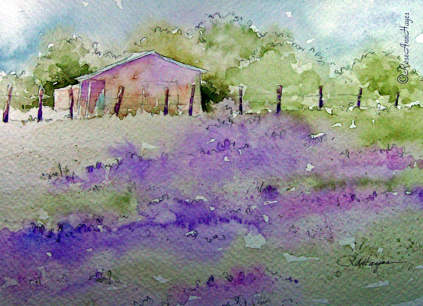 1600x1159 Watercolor Paintings By Roseann Hayes Lavender Field Watercolor