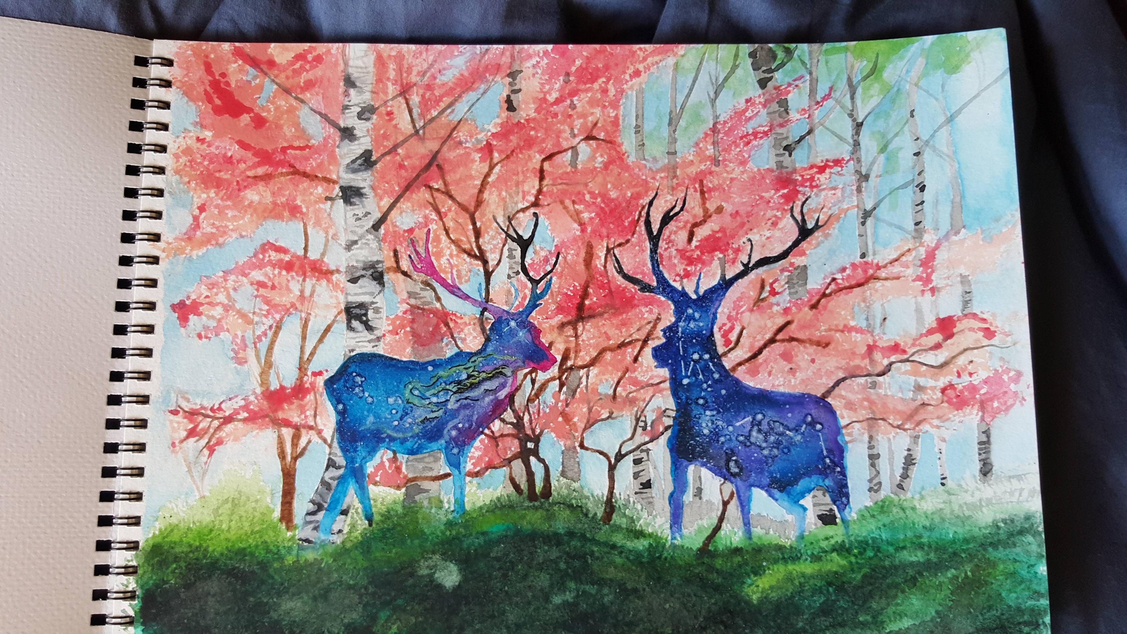 3718x2092 My First Watercolor Painting Watercolor