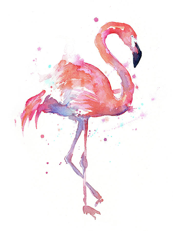 675x900 Flamingo Watercolor Facing Right Painting By Olga Shvartsur