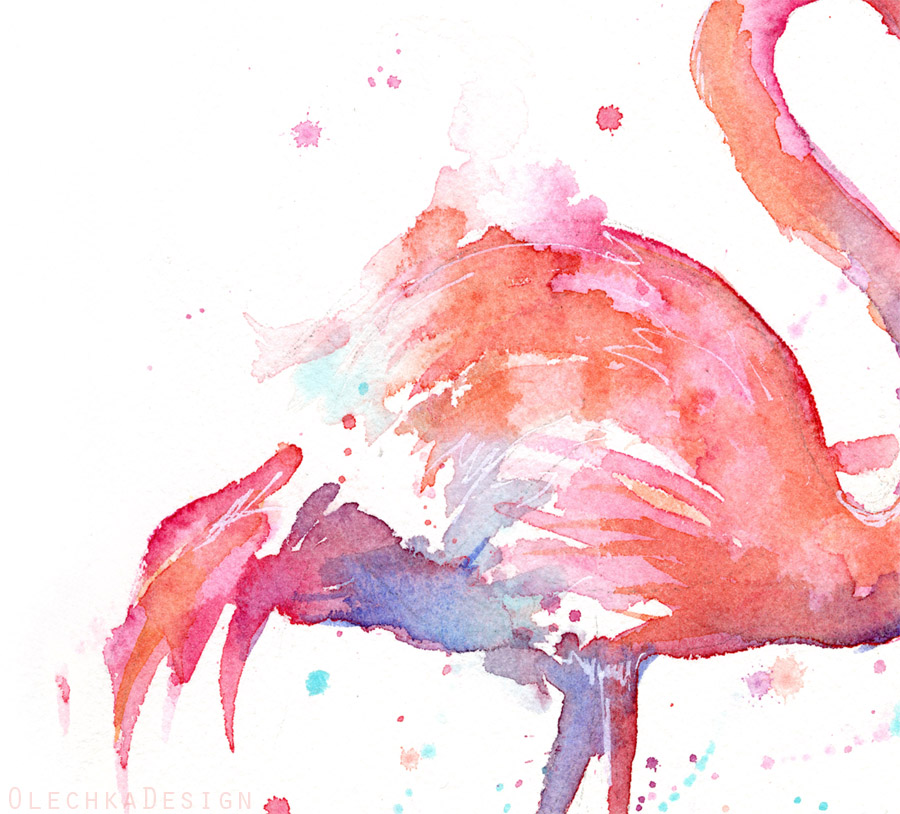 900x814 Flamingo Watercolor Olechka Design