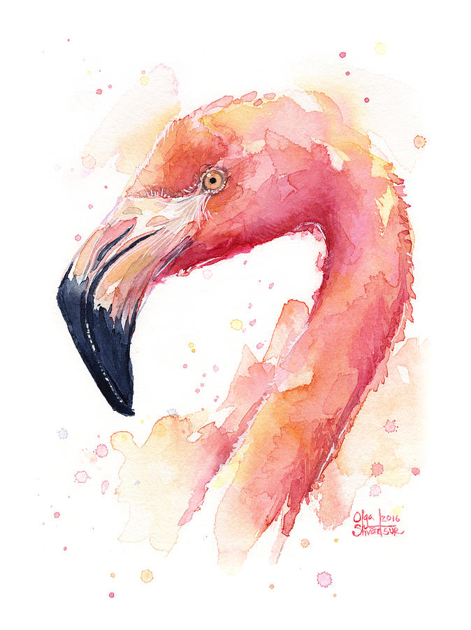 674x900 Flamingo Watercolor Painting By Olga Shvartsur