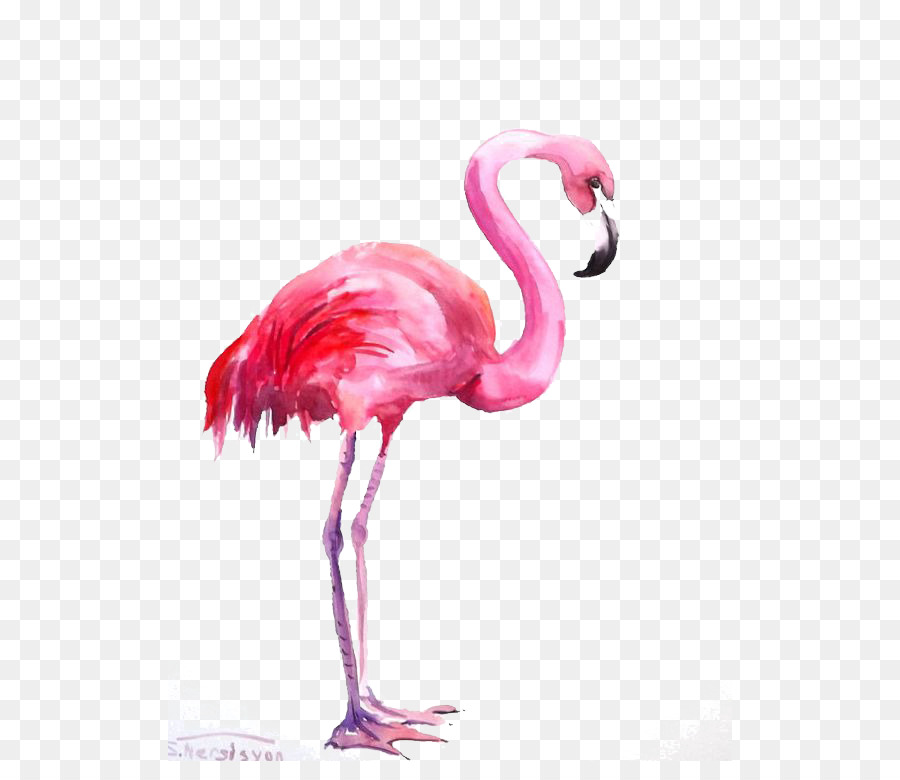 900x780 Flamingo Watercolor Painting