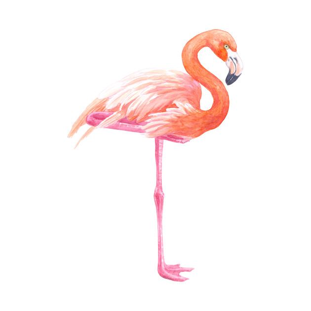 630x630 Flamingo Watercolor