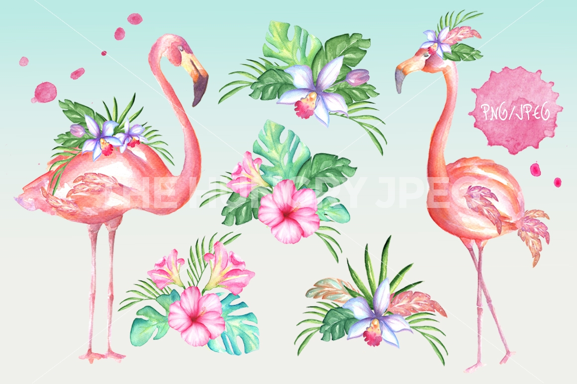 1160x772 Pink Flamingo Watercolor Set By Art Dreams