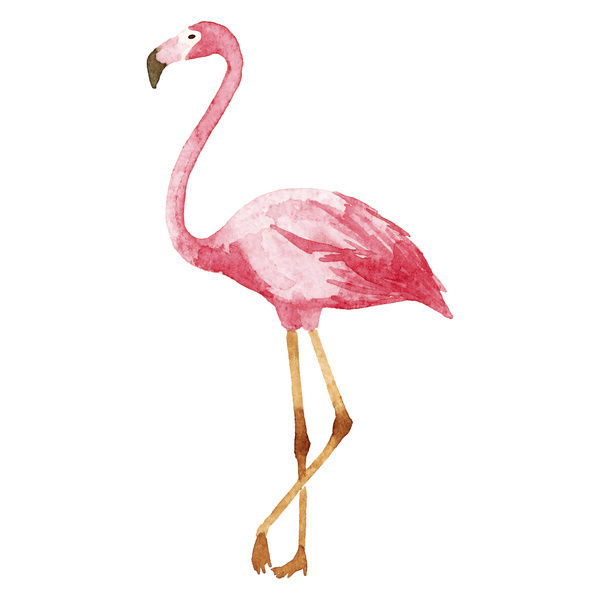 600x600 Watercolor Flamingo