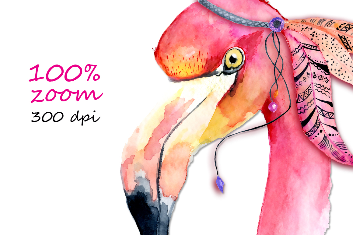 1160x772 Boho Flamingo Watercolor Set By Evgeniiasart